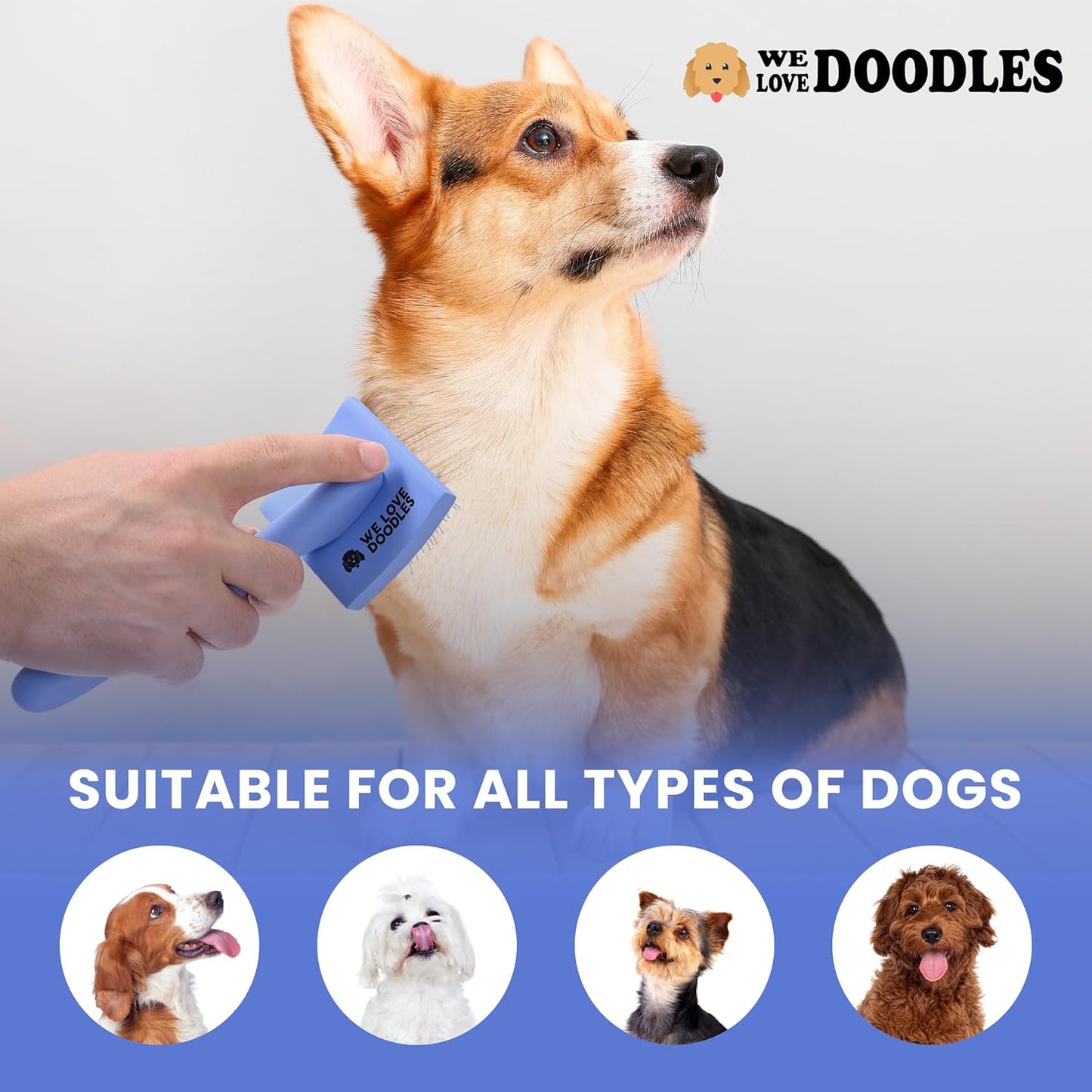 Slicker Brush for Dogs, Dog Grooming Supplies - Best Doodle & Poodle Brush for Haired Dogs - Goldendoodle Pin Detangler for Dematting (Medium Curved)