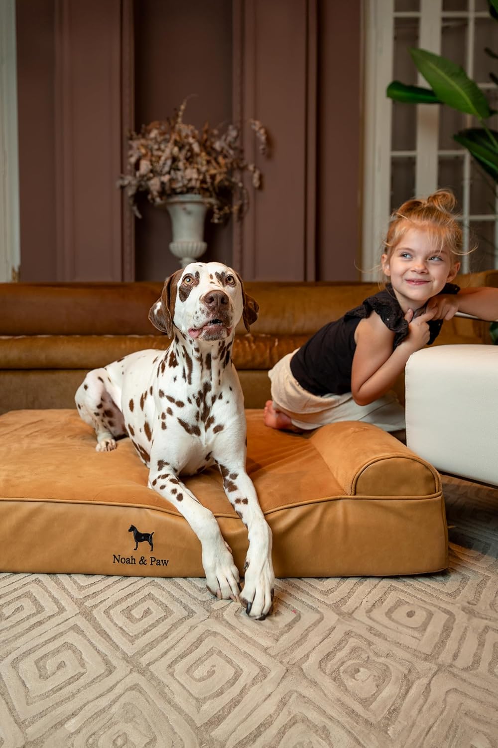 NOAH & PAW Large Dog Bed, 35x25x8.7 Inch, Orthopedic Dog Beds, Eggshell Memory Foam Infused with Cooling Gel, Waterproof, Machine Washable, Includes Inner Cover (Faux Leather)