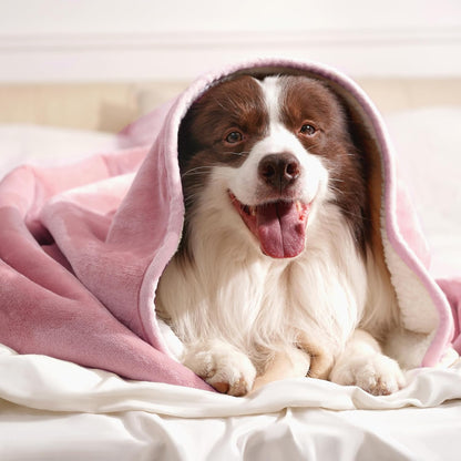 gogobunny Waterproof Blanket for Bed Couch Sofa, Liquid Pee and Fur Proof Pet Blanket for Dog Puppy Cat, Reversible Sherpa Fleece Throw Blanket Furniture Cover Protector (Grey, 50x60 inches)