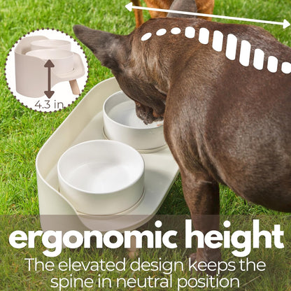 A4DOG Ceramic Dog Bowls with Stand - Elevated Dog Water and Food Bowl Set 13.5oz Cat & Dog Feeding Station Spill Proof Splash Proof Raised Pet Food Bowls for Dogs, No Mess Pet Feeder - Gray