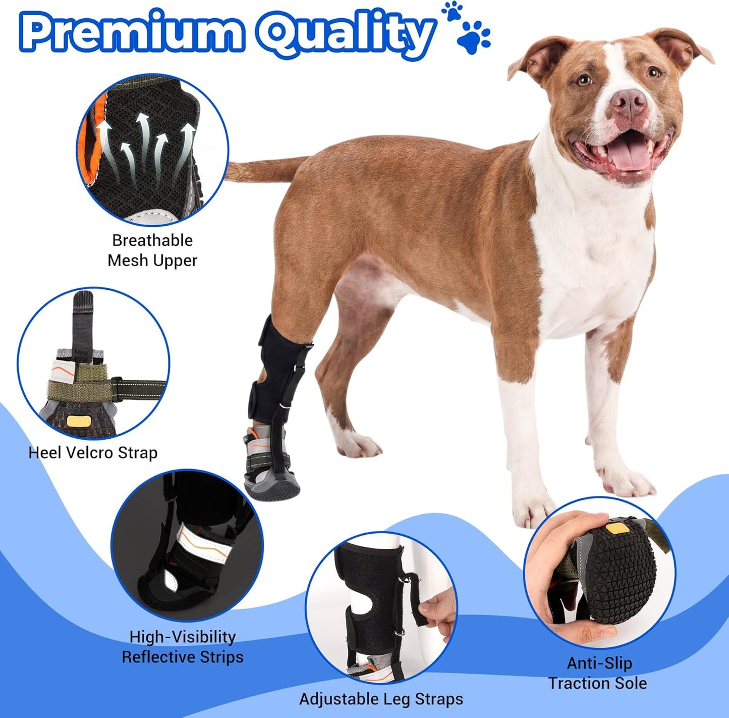 Drop Foot Brace & No Knuckling Boot Brace for Dogs, Adjustable Toe Grips for Senior Dogs Stop Dragging, Dog Recovery Boot for Injured Paw, Dog Splint for IVDD, Arthritis, Senior Mobility(M)