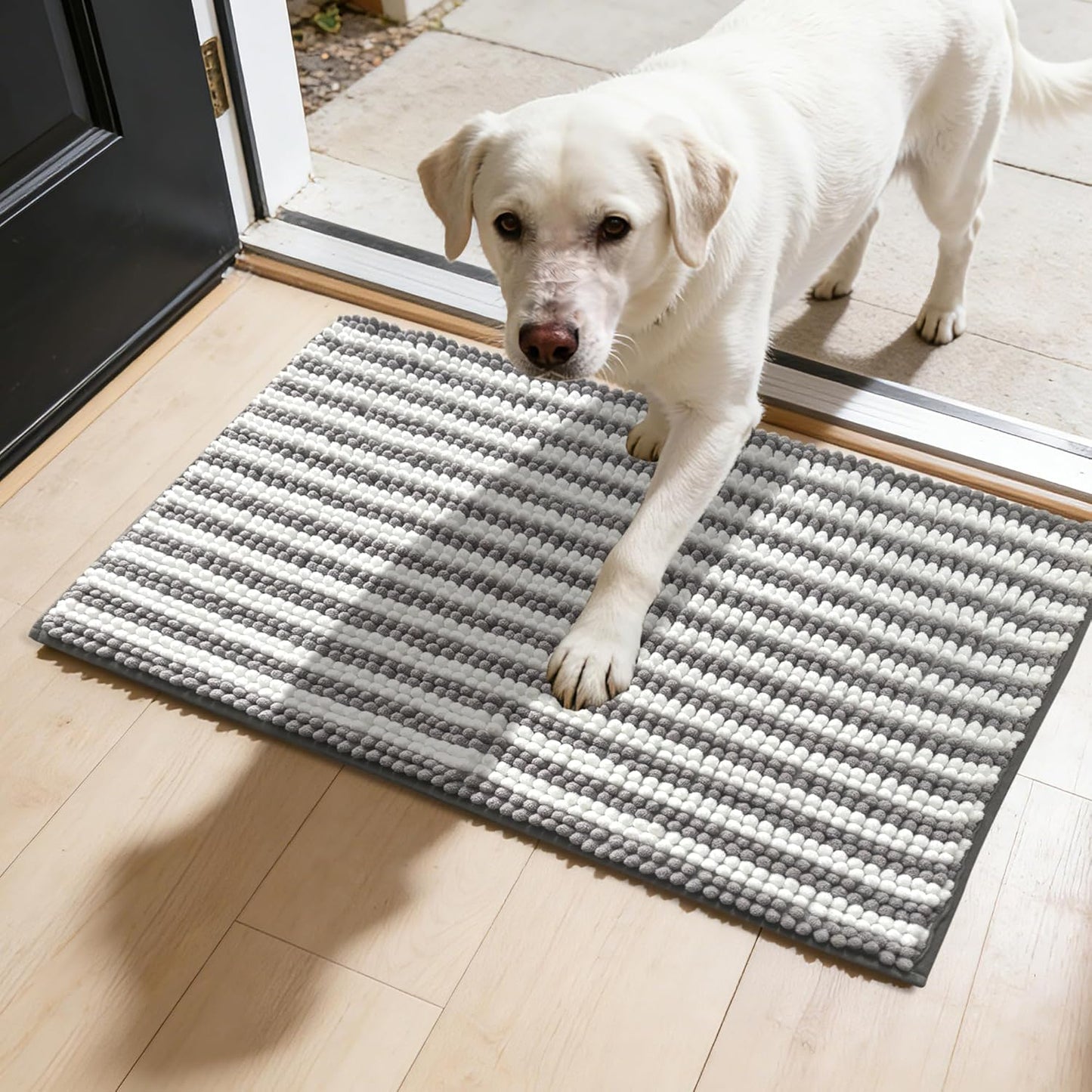 Dog Door Mat for Muddy Paws - Absorbent Quick-Dry Non-Slip Washable Chenille Pet Rug, Indoor Entryway Mat for Front Door & Crate (Brown, 24" L*16" W)