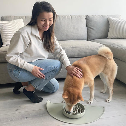 Should We Go? Slow Feeder for Dogs & Puppies, The Slowdown Bowl Silicone Slow Eating, Modern Lick Mat Design, Reduces Gulping, Fits 2 Cups, 7.5” Across x 1.5” Tall, Mealtime Challenge, Medium-Blush