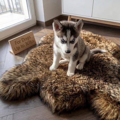 IHAPPYDOG Luxury Faux Fur Orthopedic Dog Bed, Memory Foam Dog Bed for Small, Medium, Large and XL Pets, Fluffy Pet Bed with Waterproof and Washable Cover (White w/Brown Tips, 50"x30")