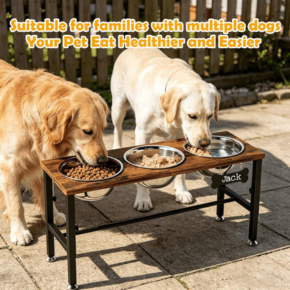 ADENGL Metal Raised Dog Bowl, 10" Tall Elevate Dog Feeder Stand with 2 Stainless Steel 42oz Bowls & 16x24 Non-Slip Mat – Stronger Dogs Food & Water Bowl Stand (Black)