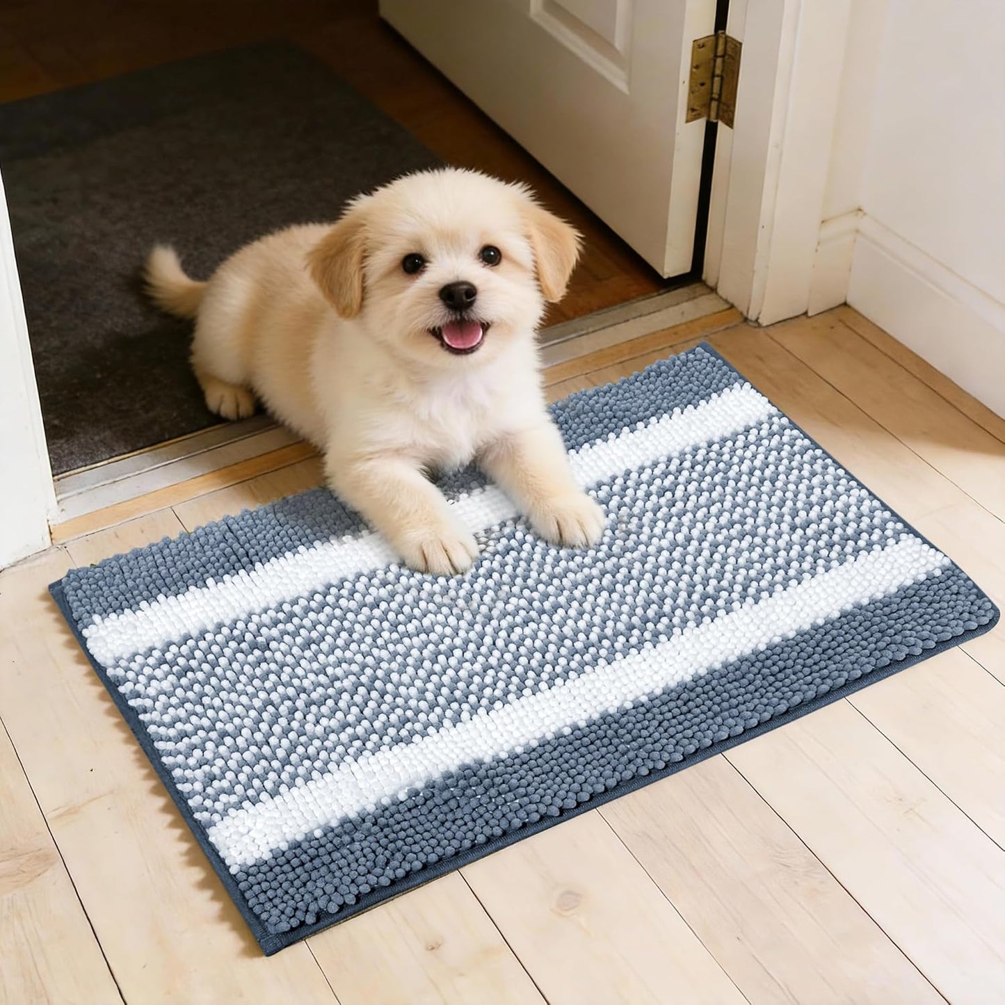 Dog Door Mat for Muddy Paws - Absorbent Quick-Dry Non-Slip Washable Chenille Pet Rug, Indoor Entryway Mat for Front Door & Crate (Brown, 24" L*16" W)