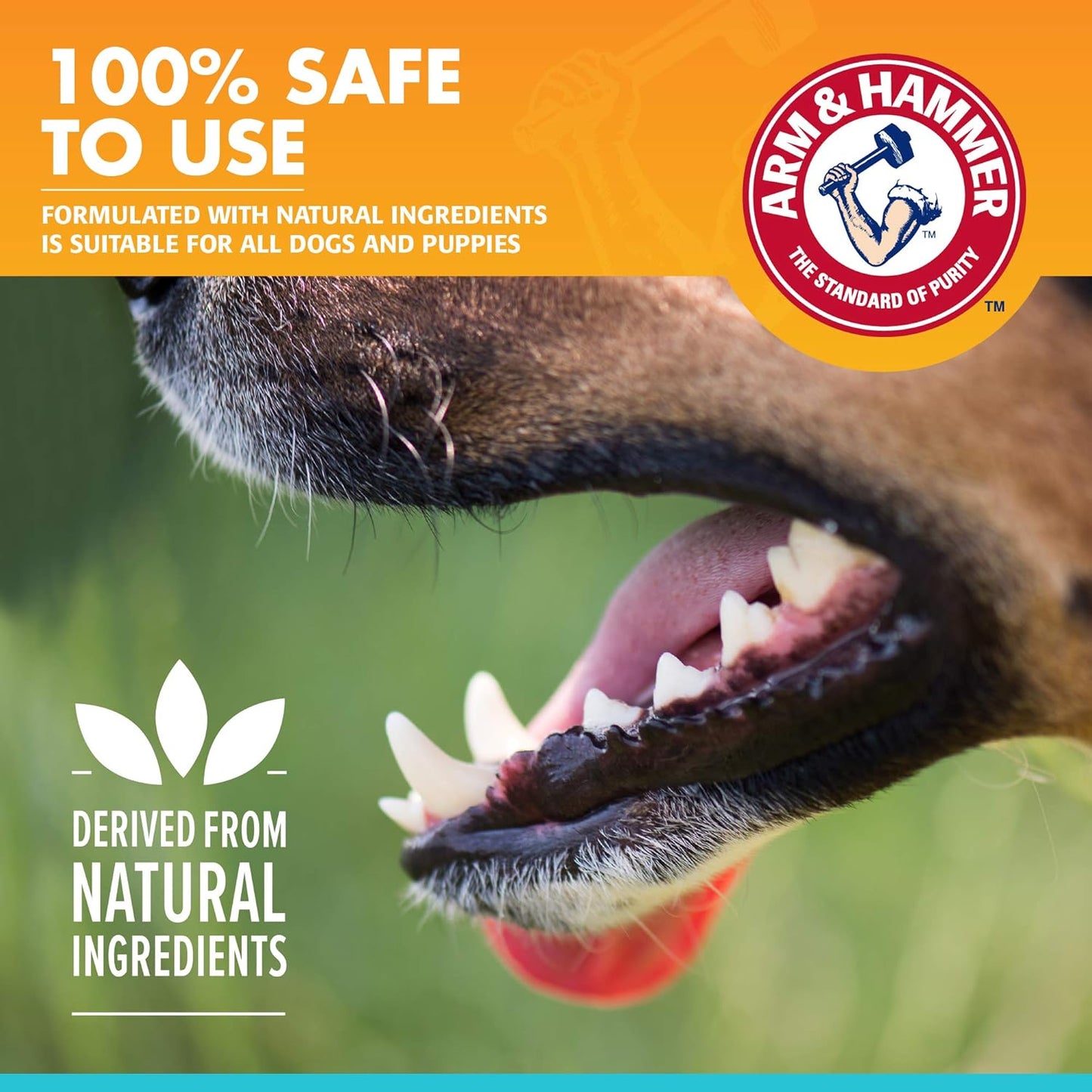 Arm & Hammer for Pets Fresh Breath Enzymatic Dog Toothpaste, Vanilla Ginger Flavor, Safe for Puppies and Adult Dogs, Daily Baking Soda Dental Gel to Eliminate Bad Breath, 2.5 Oz