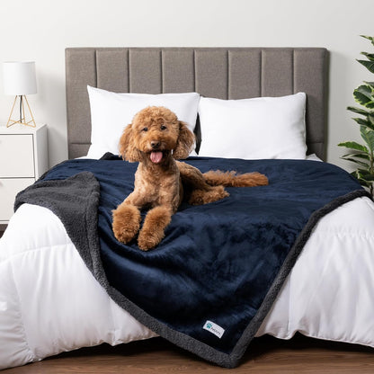 PetAmi Waterproof Dog Blanket for Couch, Large 60x40, Pee Proof Sherpa Fleece Reversible Pet Throw, Furniture Protector for Bed Sofa Kennel, Soft Washable Cover for Medium Dogs Cats, Grey Sherpa