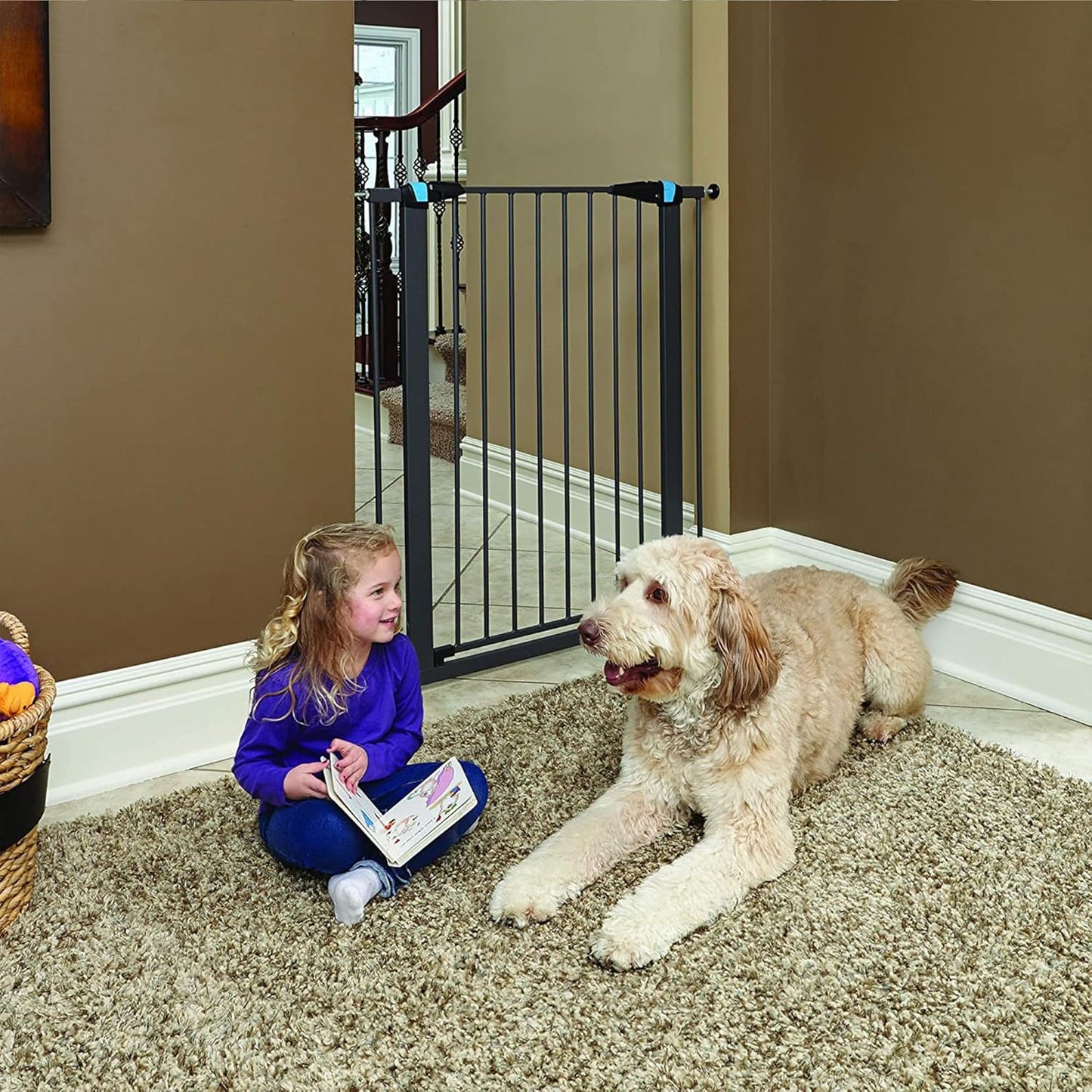MidWest Homes for Pets 39 Inches Tall Walk-Though Steel Pet Gate, Pressure Mounted Dog Gatewith Glow Strip Measures 29-38 Inches Wide & Includes Two 3-Inch-Wide Extensions, Graphite