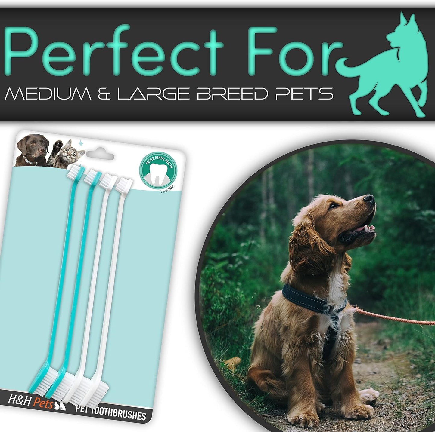 H&H Pets Dog Toothbrush Dual Headed Design Dental Toothbrushes for Small & Large Dogs, 4 or 8 Counts Pack