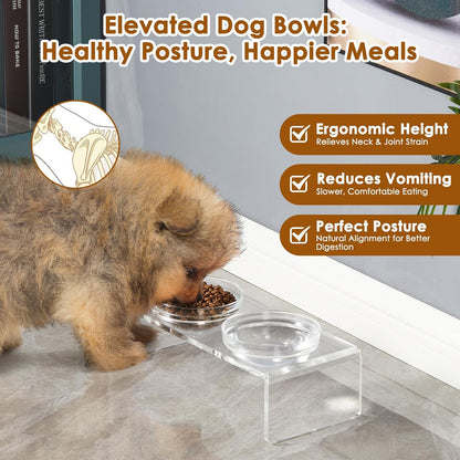 Acrylic Elevated Dog Cat Bowls Pet Feeder Double Bowl Raised Stand Comes with 4 Removable Stainless Steel Bowls. Perfect for Cats Puppies Small Dogs, 3.75 Inch