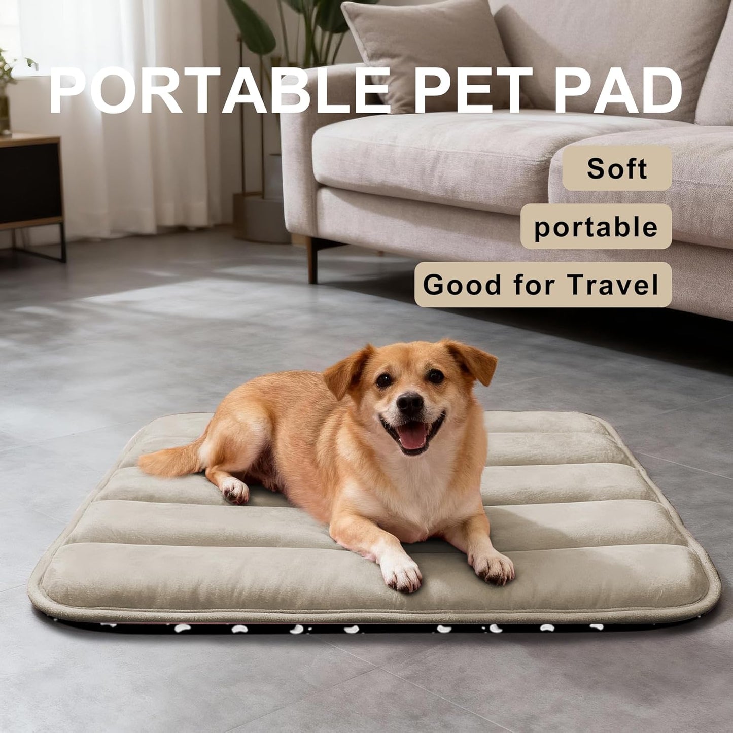Dog Bed Mat, Reversible Crate Pad & Cute Dog Bed - Machine Washable Kennel Mat with Ultra Soft for Small Dogs (Cool/Warm), 24" x 18", Grey&Star