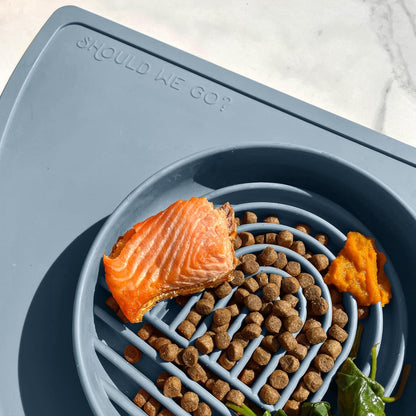 Should We Go? Slow Feeder for Dogs & Puppies, The Slowdown Bowl Silicone Slow Eating, Modern Lick Mat Design, Reduces Gulping, Fits 2 Cups, 7.5” Across x 1.5” Tall, Mealtime Challenge, Medium-Blush