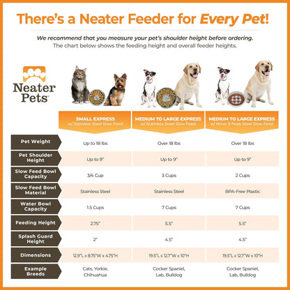 Neater Feeder Express Mess Proof Dog Bowls Elevated for Small Breeds under 15 Lb, Made in USA, No Spill Raised Dog Food Bowl Stand, Stainless Steel Food and Water Bowl Set, Feeding Station, Cappuccino