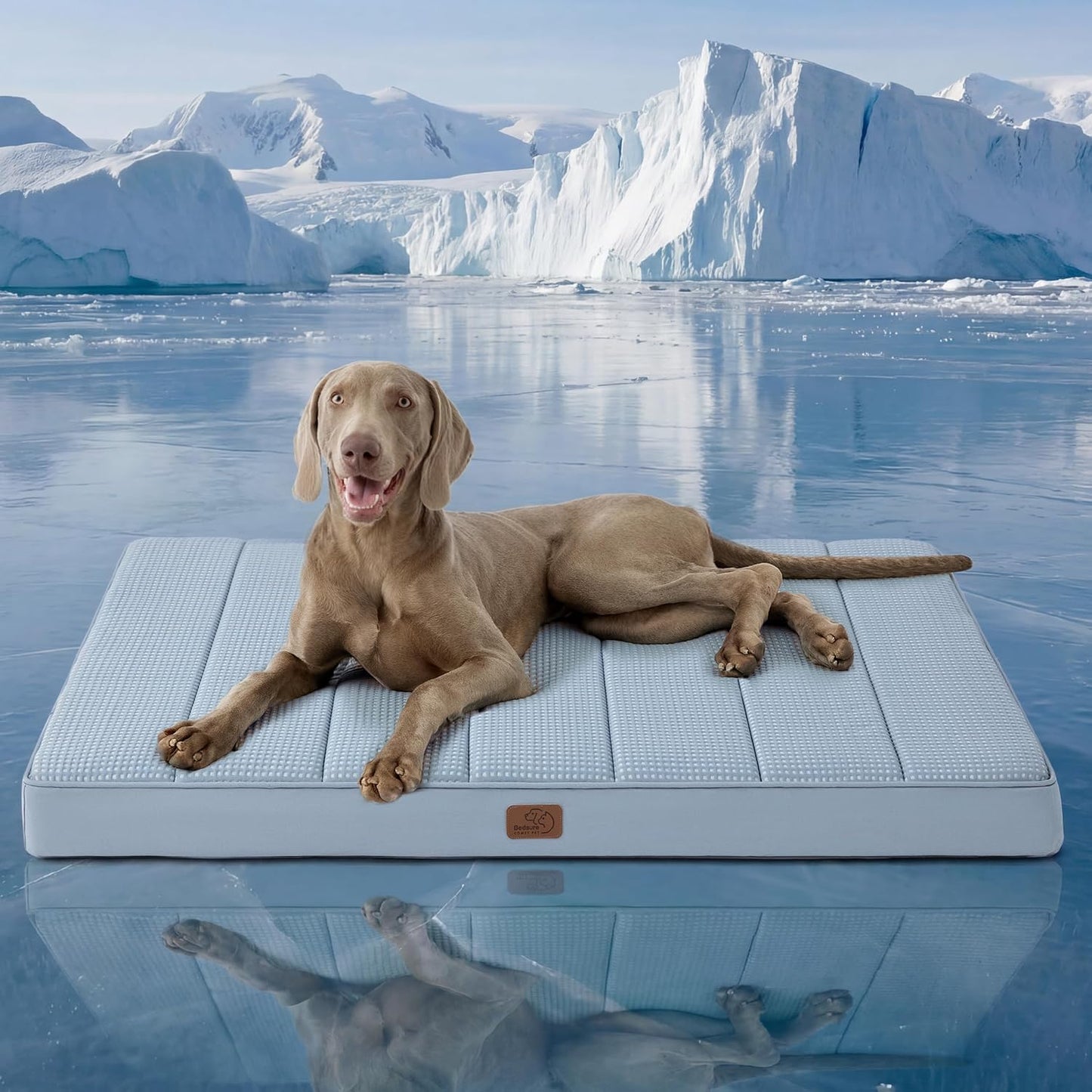 Bedsure Dog Beds Large Sized Dog - Comfy Flat Pet Beds with Removable Washable Cover, Orthopedic Egg Crate Foam Puppy Mat, Suitable for Pet Up to 65 lbs