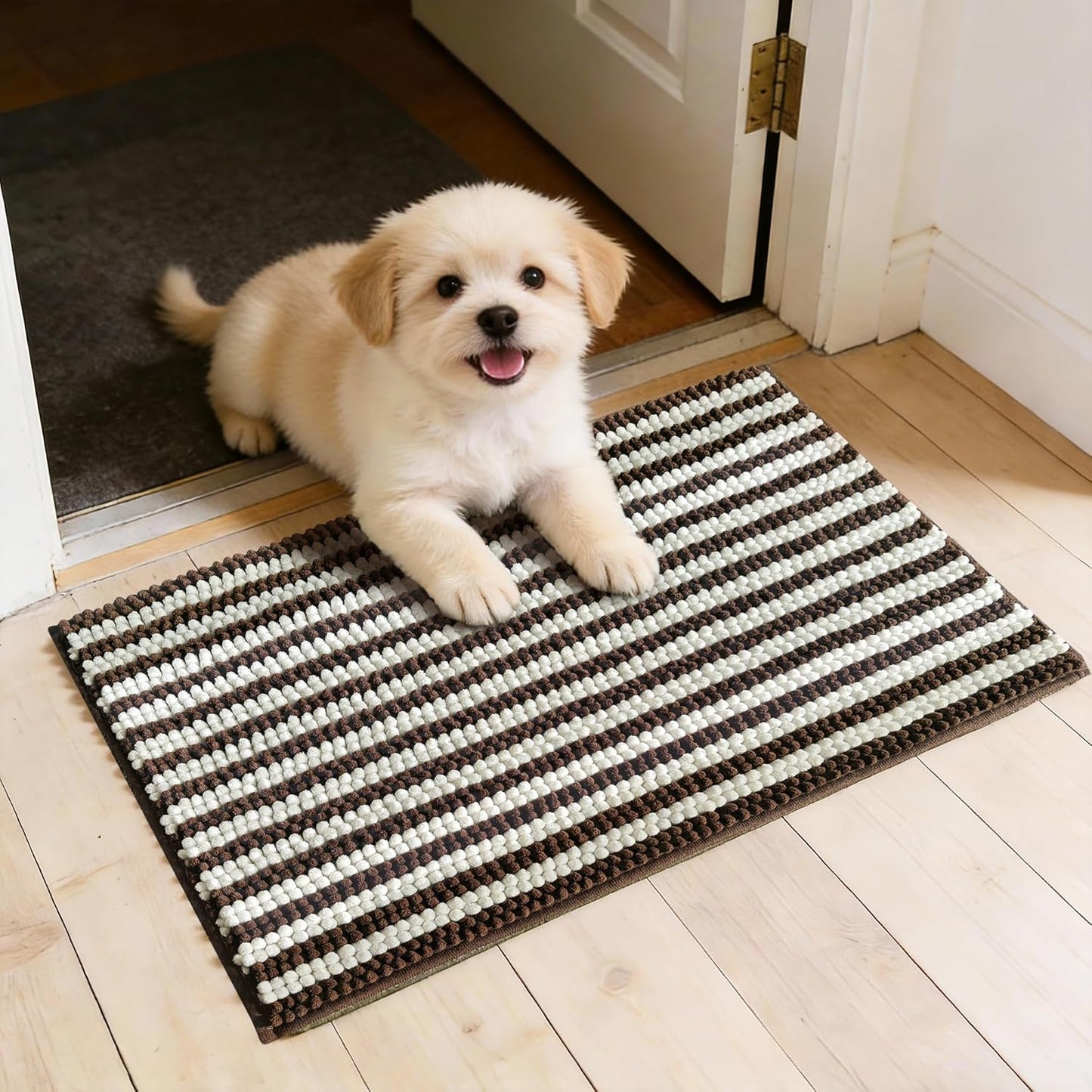 Dog Door Mat for Muddy Paws - Absorbent Quick-Dry Non-Slip Washable Chenille Pet Rug, Indoor Entryway Mat for Front Door & Crate (Brown, 24" L*16" W)