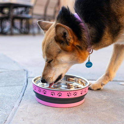 Loving Pets Corsa Dog Bowls- Stainless Steel Dog & Cat Bowls - Spill Proof Dog Food Bowl, Cat Bowl, Puppy Essentials & Pet Supplies Great for Home & Travel (Small 10-20 lbs, Rapid Blue)