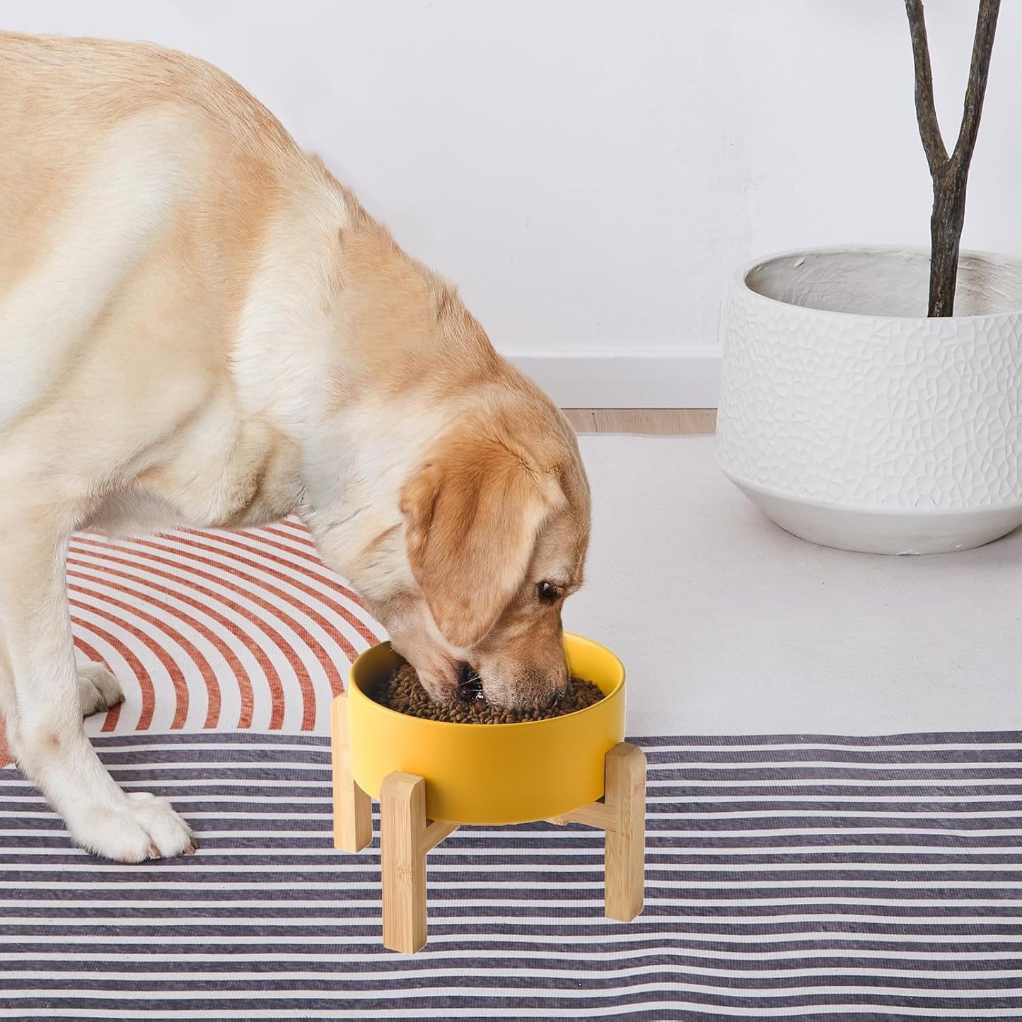 6'' Ceramic Raised Dog Bowl - 30Oz Dog Food & Water Bowl with Elevated Non-Slip Bamboo Stand, Dishwasher & Microwave Safe, Anti Vomiting Heavy Duty Pet Bowl for Small and Medium Dogs, White
