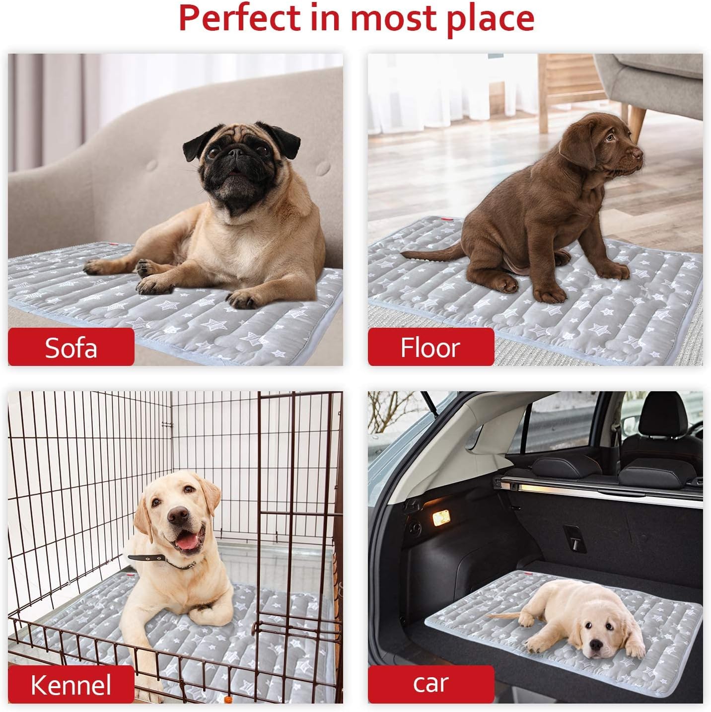Dog Crate Bed Mat (36" X 23"), Soft Dog Bed Mat with Cute Stars, Personalized Crate Pad, Anti-Slip Bottom, Machine Washable Kennel Pad
