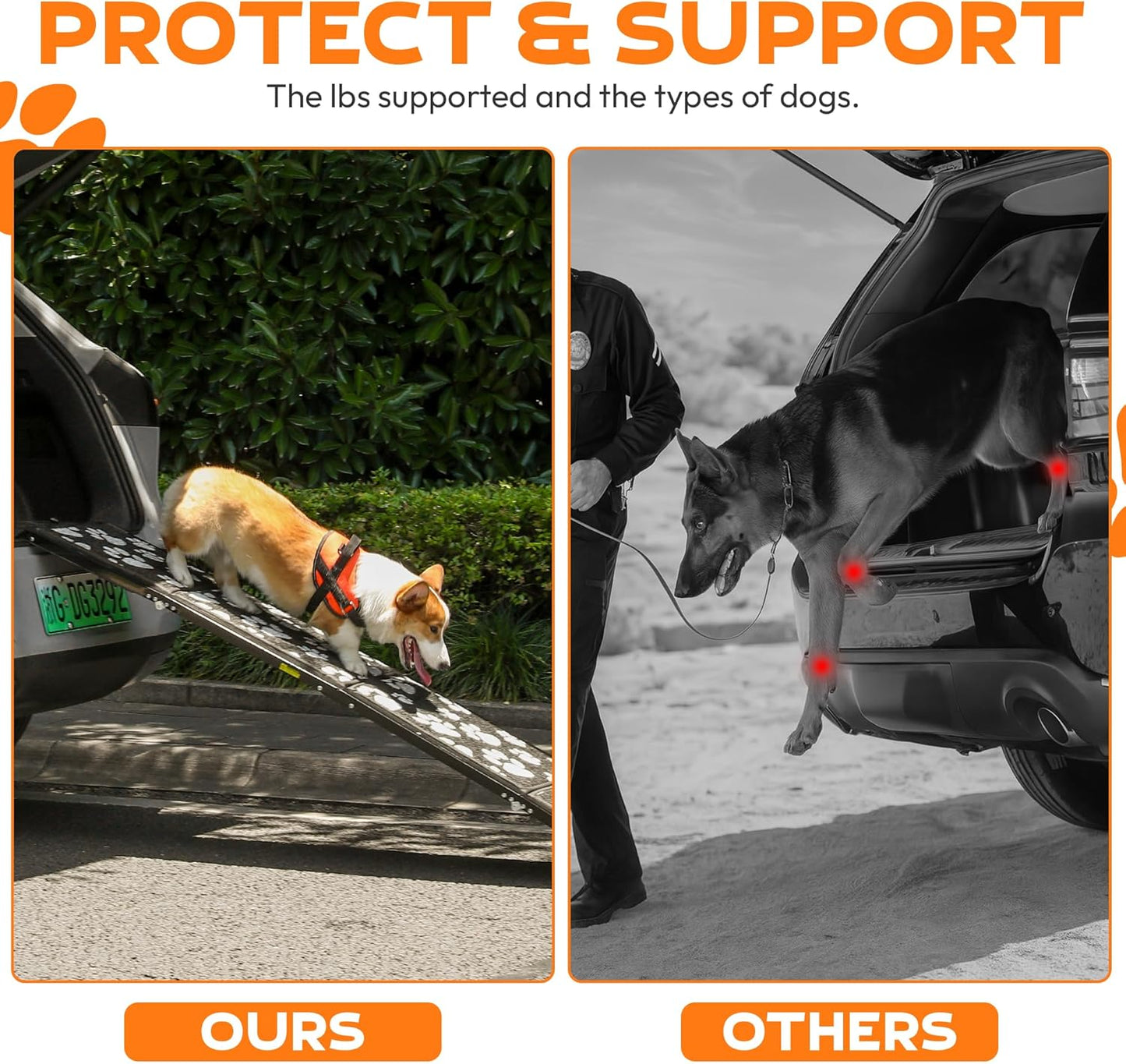 Dog Ramp for Car 71"x17.2" Wide Portable Folding Pet Ramp with Non-Slip Surface. Extra Wide Portable Ramp for Large, Small & Senior Dogs to Get in Cars, SUVs, Trucks & Beds, Up to 250LBS