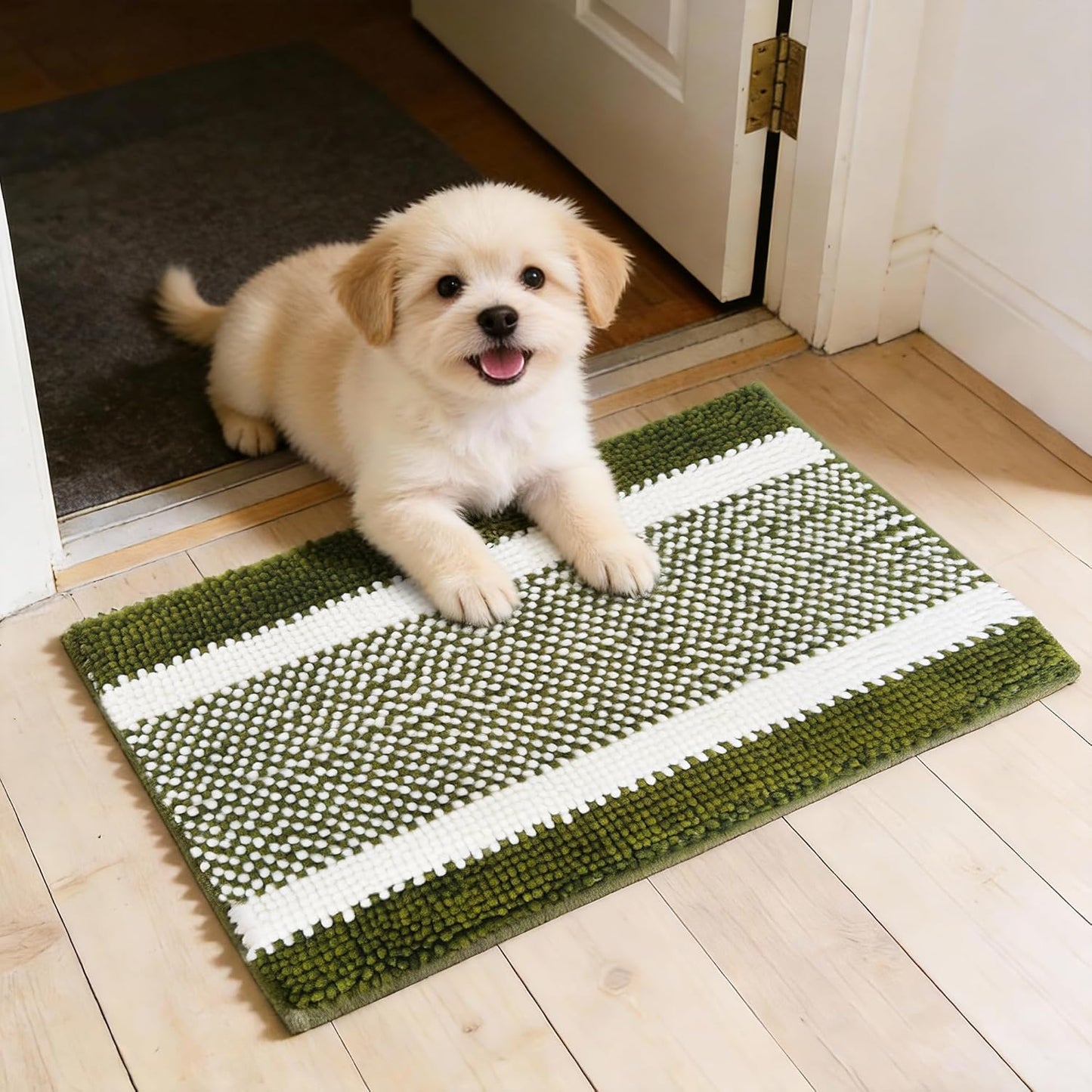 Dog Door Mat for Muddy Paws - Absorbent Quick-Dry Non-Slip Washable Chenille Pet Rug, Indoor Entryway Mat for Front Door & Crate (Brown, 24" L*16" W)
