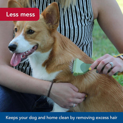 Coastal Pet Safari Shed Magic Deshedding Tool for Dogs with Medium to Long Hair - Deshedding & Detangling Dog Brush - Medium
