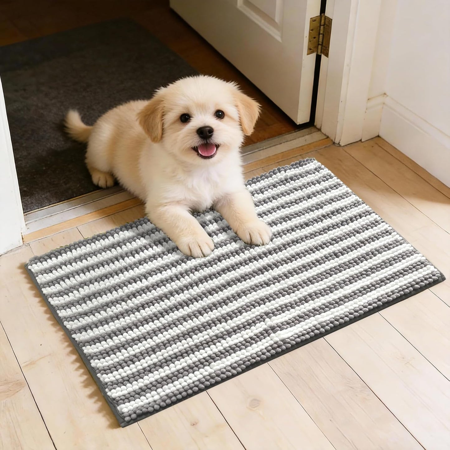 Dog Door Mat for Muddy Paws - Absorbent Quick-Dry Non-Slip Washable Chenille Pet Rug, Indoor Entryway Mat for Front Door & Crate (Brown, 24" L*16" W)
