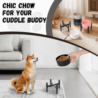 Raised Ceramic Dog Bowl Set - Elevated Double Dishes with Stainless Steel Stand - Food and Water Bowls for Small to Medium Dogs - Each Holds 3.5 Cups (29.57 fl oz) - White