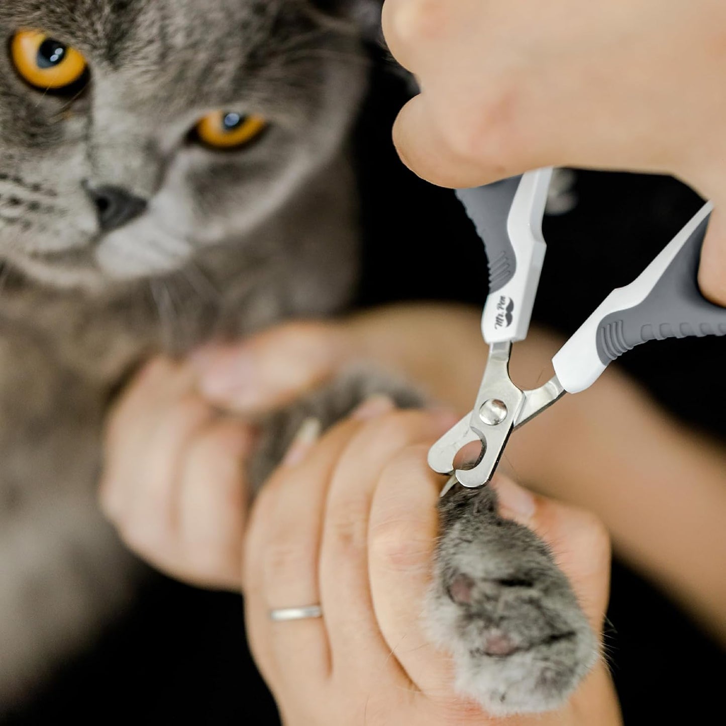 Mr. Pen- Cat Nail Clipper, Stainless Steel, Professional Sharp Cat Claw Trimmer for Small and Medium Cats, Pet Nail Clipper with Sturdy Non Slip Handle