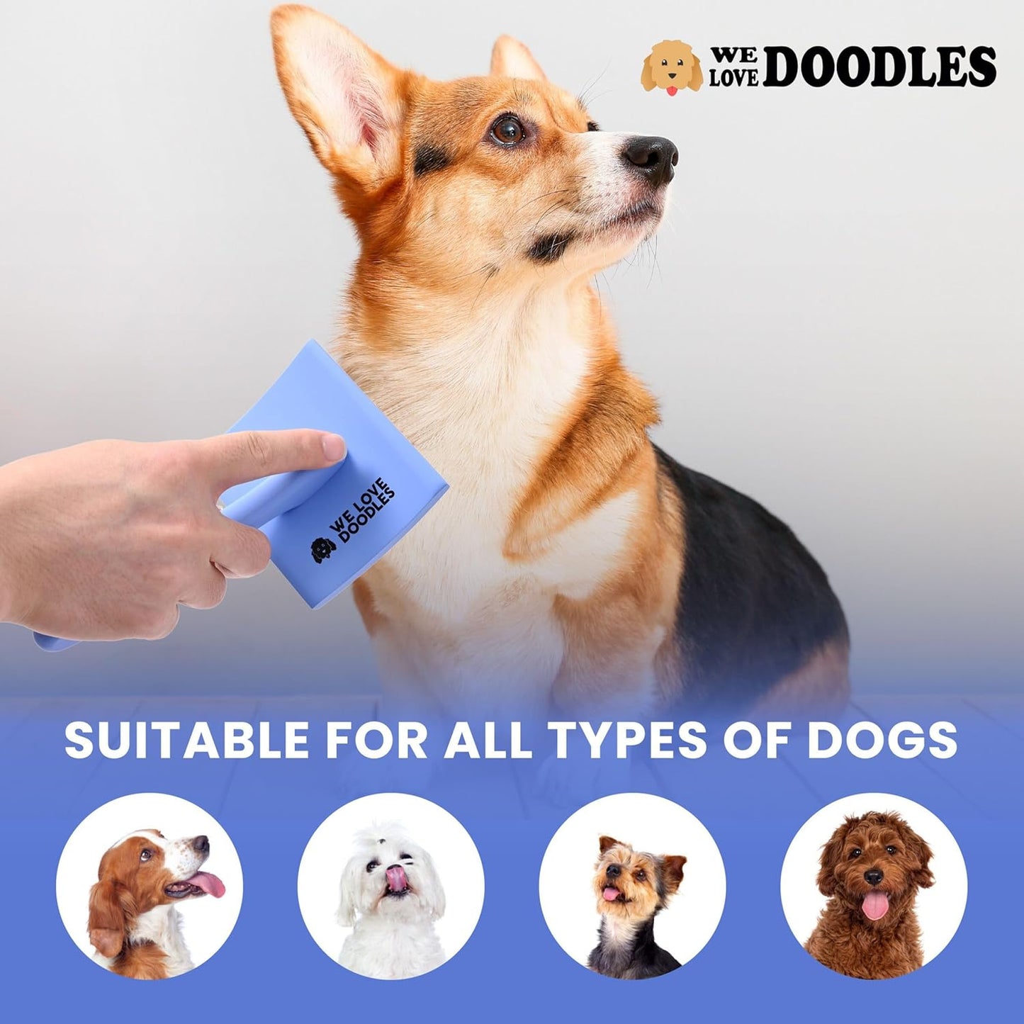 Slicker Brush for Dogs, Dog Grooming Supplies - Best Doodle & Poodle Brush for Haired Dogs - Goldendoodle Pin Detangler for Dematting (Medium Curved)