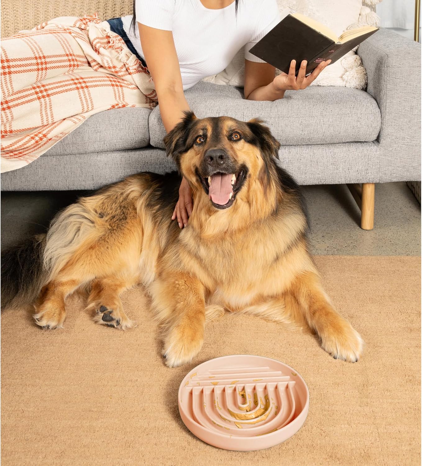 Should We Go? Slow Feeder for Dogs & Puppies, The Slowdown Bowl Silicone Slow Eating, Modern Lick Mat Design, Reduces Gulping, Fits 2 Cups, 7.5” Across x 1.5” Tall, Mealtime Challenge, Medium-Blush