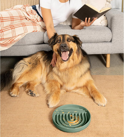 Should We Go? Slow Feeder for Dogs & Puppies, The Slowdown Bowl Silicone Slow Eating, Modern Lick Mat Design, Reduces Gulping, Fits 2 Cups, 7.5” Across x 1.5” Tall, Mealtime Challenge, Medium-Blush