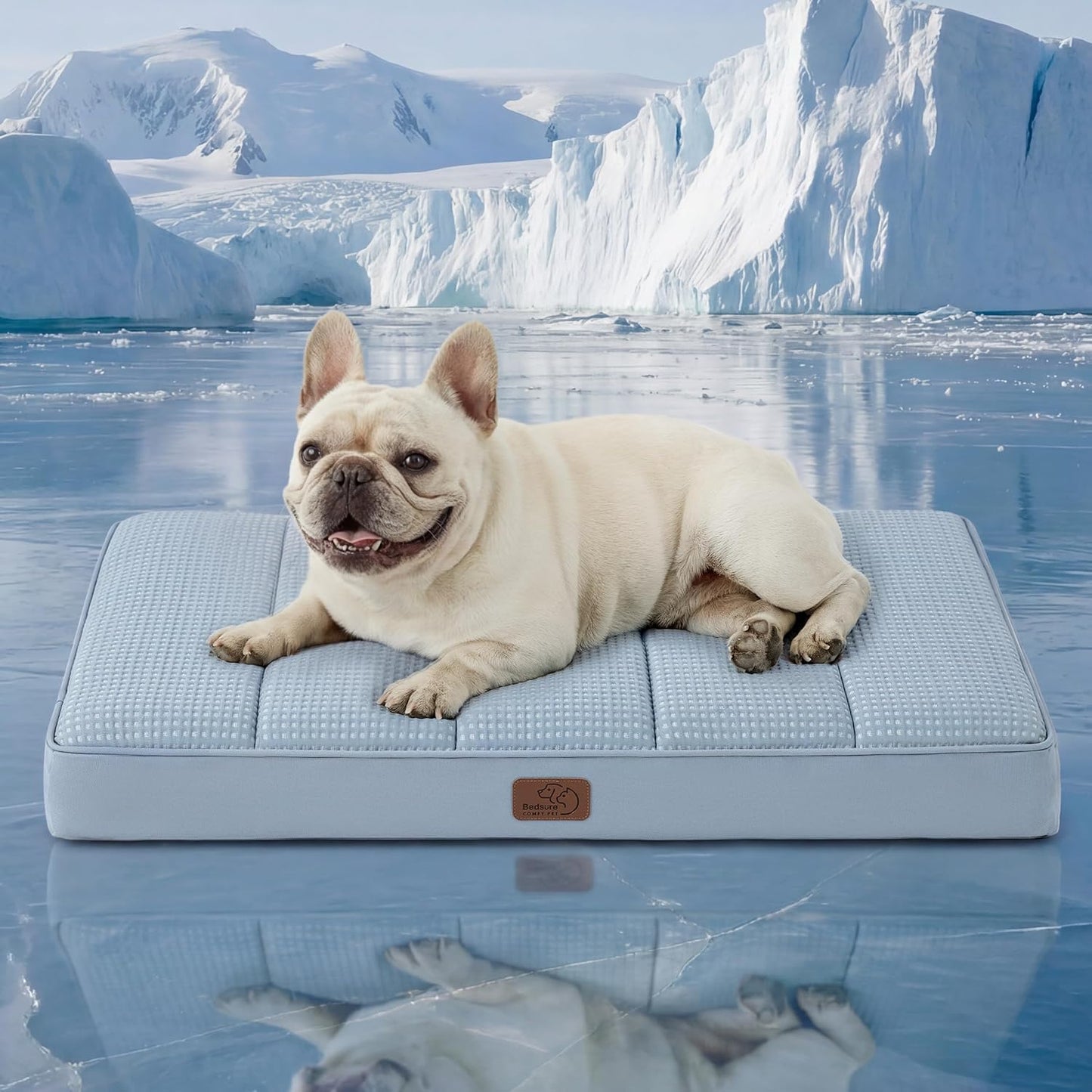 Bedsure Dog Beds Large Sized Dog - Comfy Flat Pet Beds with Removable Washable Cover, Orthopedic Egg Crate Foam Puppy Mat, Suitable for Pet Up to 65 lbs