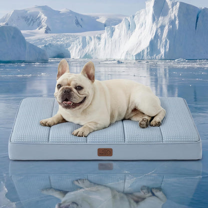 Bedsure Dog Beds Large Sized Dog - Comfy Flat Pet Beds with Removable Washable Cover, Orthopedic Egg Crate Foam Puppy Mat, Suitable for Pet Up to 65 lbs