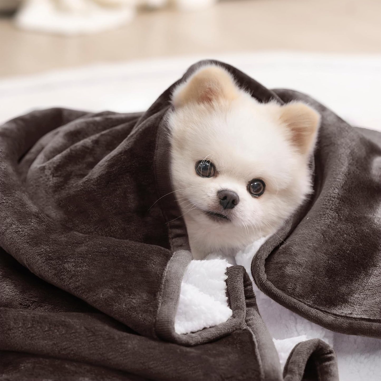 gogobunny Waterproof Blanket for Bed Couch Sofa, Liquid Pee and Fur Proof Pet Blanket for Dog Puppy Cat, Reversible Sherpa Fleece Throw Blanket Furniture Cover Protector (Grey, 50x60 inches)