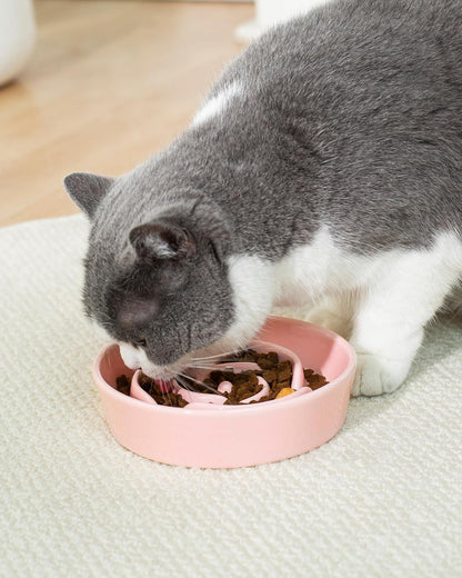 TRUVIC Ceramic Slow Feeder Dog Bowls Small Breed, 0.6 Cup Slow Feeder Cat Bowls for Fast Eaters, Ceramic Dog Food Dish no Black Chin, Puzzle Bowl for Small Dogs and Cats, White