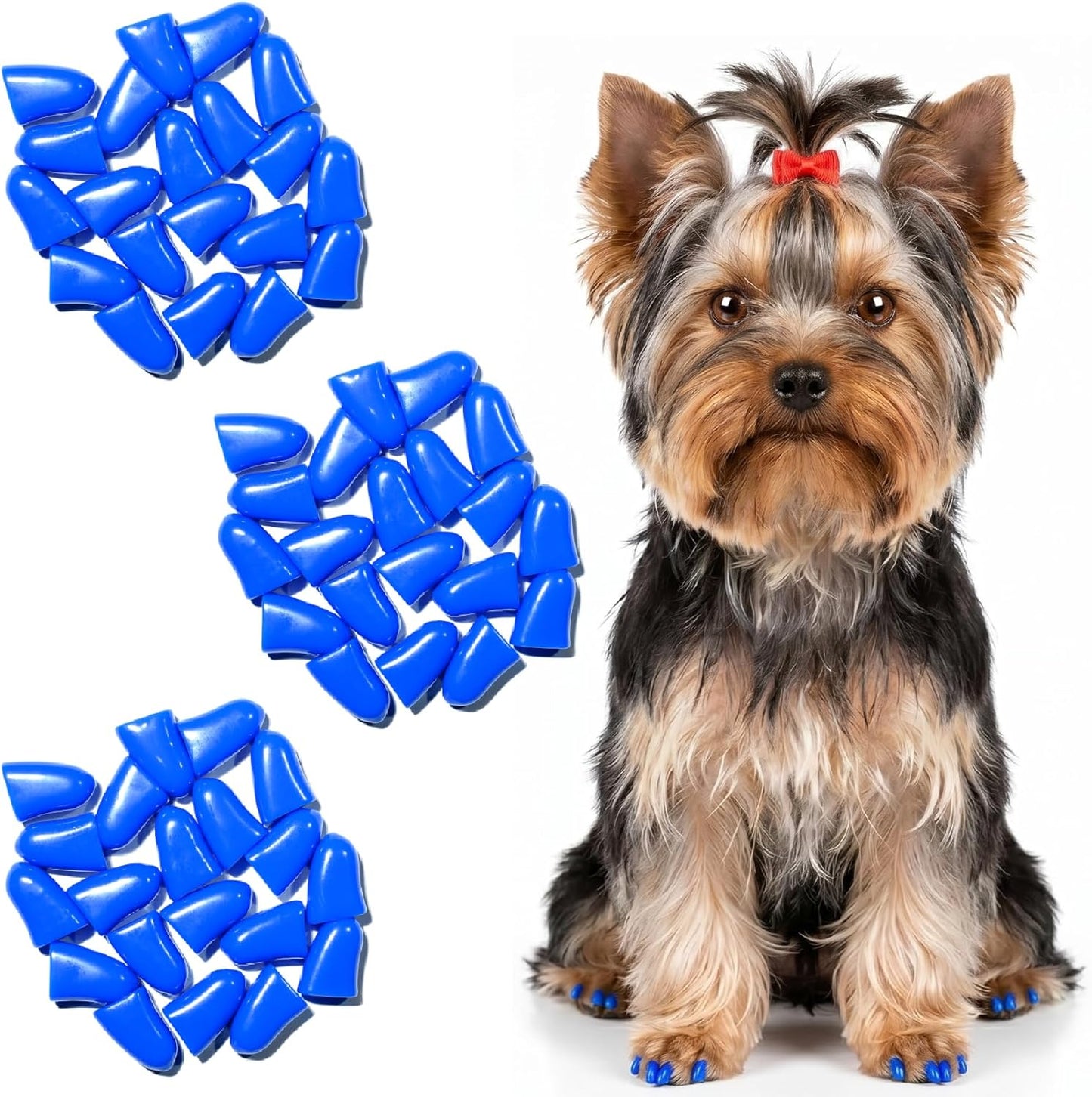 zetpo Dog Nail Caps & Claw Caps (60 pcs) - Anti Slip Dog Toe Grips & Covers for Hard Floors - Instant Traction & Mobility Support for Senior Dogs - Stops Scratches & Reduces Floor Noise (Blue, XXL)