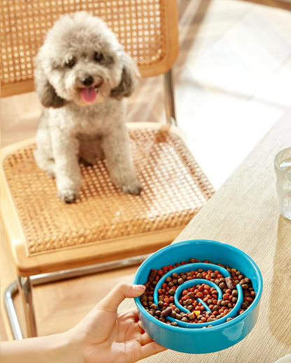 Ceramic Slow Feeder Dog Bowls, 2.0 Cups Slow Feeder for Medium Dogs, Puzzle Maze Bowl to Slow Down Eating, 30oz, 8in, White