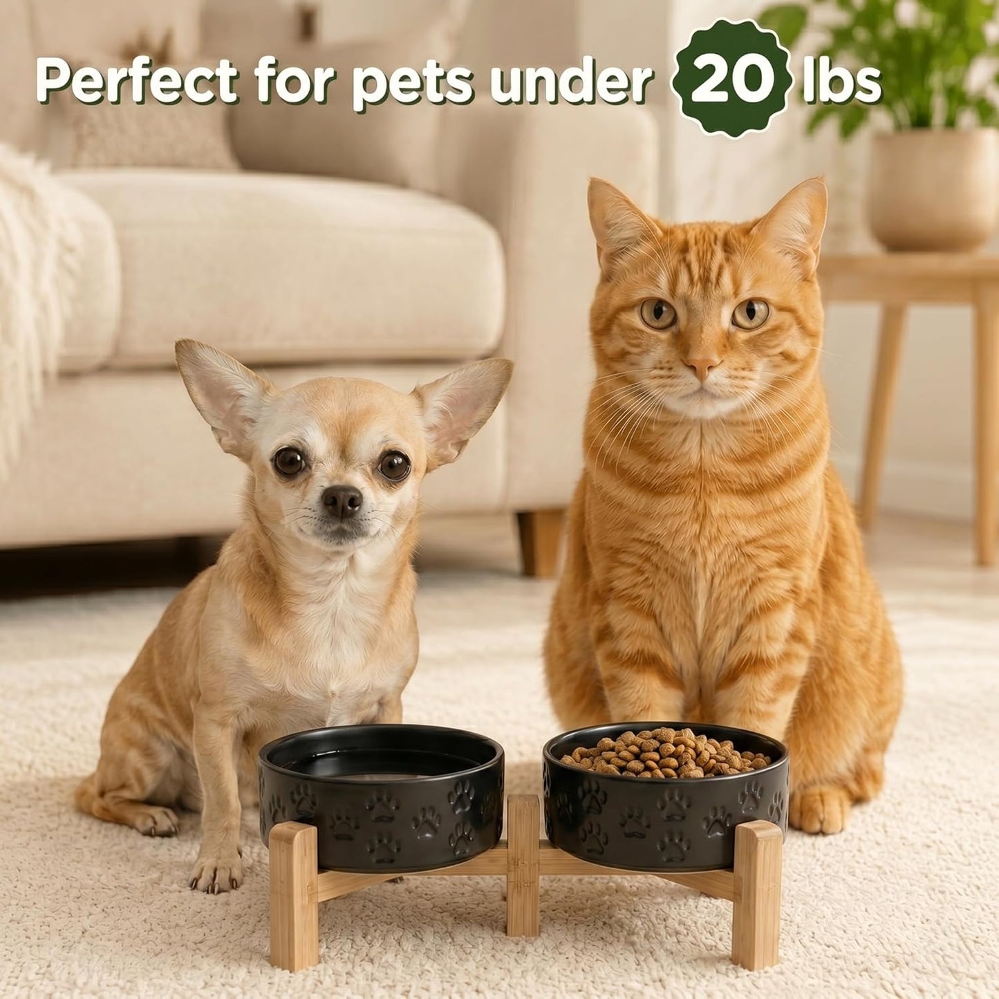 SPUNKYJUNKY Elevated Dog Bowls Ceramic, 6.1'' Dogs and Cat Food Water Bowls Raised with Non-Slip Bamboo Stand for Medium Sized Breed Microwave Dishwasher Safe - 28.7 OZ,Beige