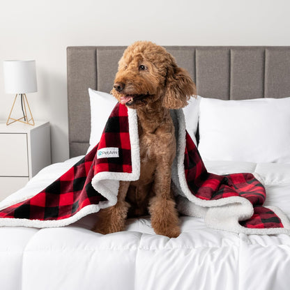 PetAmi Waterproof Dog Blanket for Couch, Large 60x40, Pee Proof Sherpa Fleece Reversible Pet Throw, Furniture Protector for Bed Sofa Kennel, Soft Washable Cover for Medium Dogs Cats, Grey Sherpa