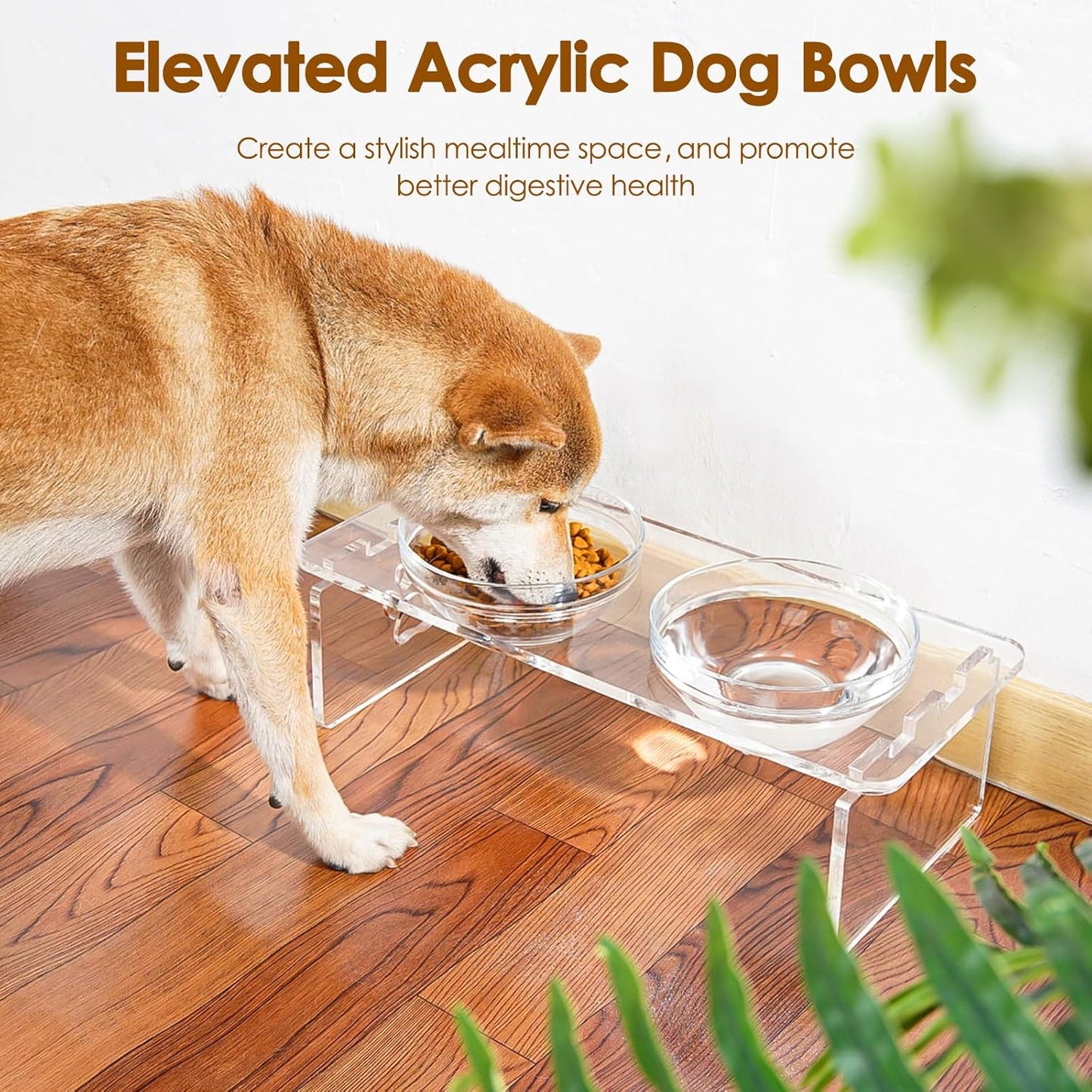 Elevated Dog & Cat Bowls – 3.75” Acrylic Raised Pet Feeder Stand with 2 Stainless Steel & 2 Glass Bowls – Food & Water Dish Set for Puppy/Small Dogs & Cats