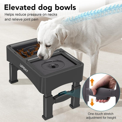 UPSKY 2-in-1 Elevated Dog Bowls Slow Feeder, 4 Height Adjustable Raised Bowl Stand, No Spill Dog Water Bowls, Anti-Slip Food and Water Bowls for Small Medium Dogs(Not Include Stainless Steel Bowl)