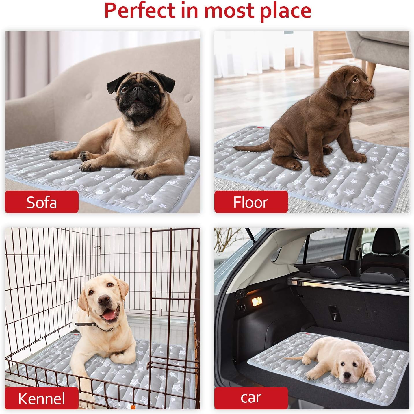 Dog Crate Bed Mat (36" X 23"), Soft Dog Bed Mat with Cute Stars, Personalized Crate Pad, Anti-Slip Bottom, Machine Washable Kennel Pad
