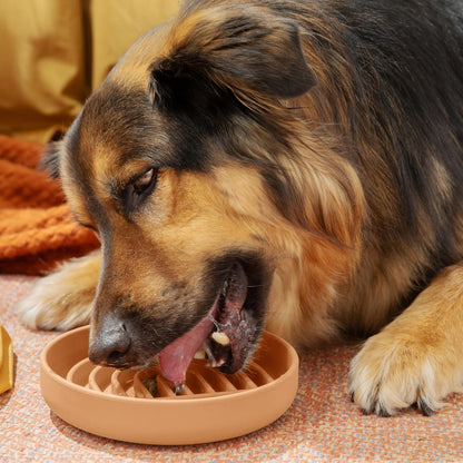 Should We Go? Slow Feeder for Dogs & Puppies, The Slowdown Bowl Silicone Slow Eating, Modern Lick Mat Design, Reduces Gulping, Fits 2 Cups, 7.5” Across x 1.5” Tall, Mealtime Challenge, Medium-Blush