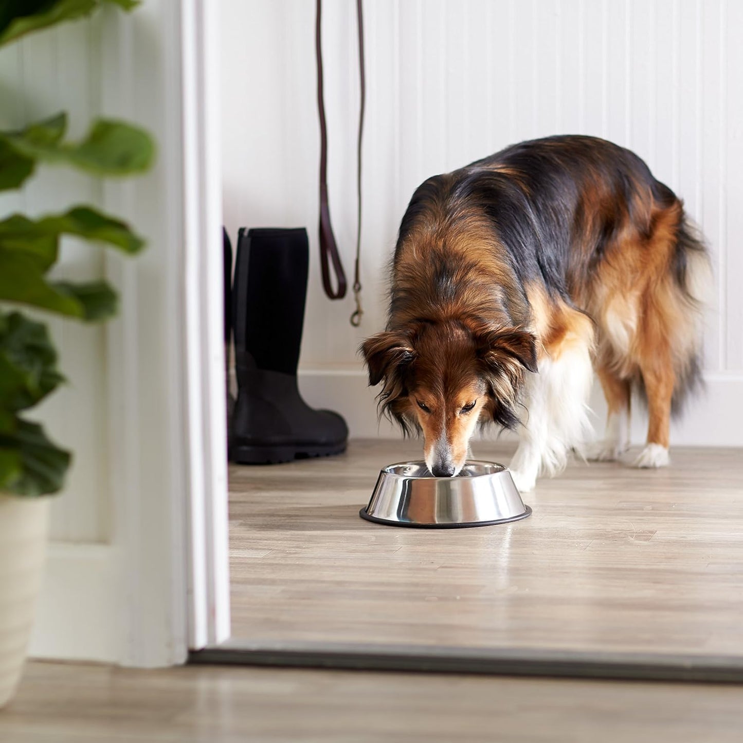 Amazon Basics Stainless Steel Non-Skid Dog Water And Food Bowls, Dishwasher Safe, Rust Resistant, 38oz Capacity, 10 x 2.8 Inches, 2-Pack