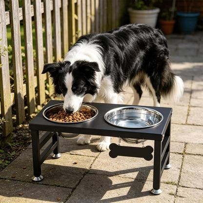 ADENGL Metal Raised Dog Bowl, 10" Tall Elevate Dog Feeder Stand with 2 Stainless Steel 42oz Bowls & 16x24 Non-Slip Mat – Stronger Dogs Food & Water Bowl Stand (Black)