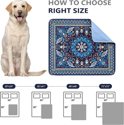 Qeils Washable Pee Pads, Reusable Puppy Pads Super Absorbent Leakproof Dog Training Pads, Non-Slip Wee Wee Pads for Crate, Floor, Potty Pads Feeding Mat Dog Pee 2 Pack 18"x30"