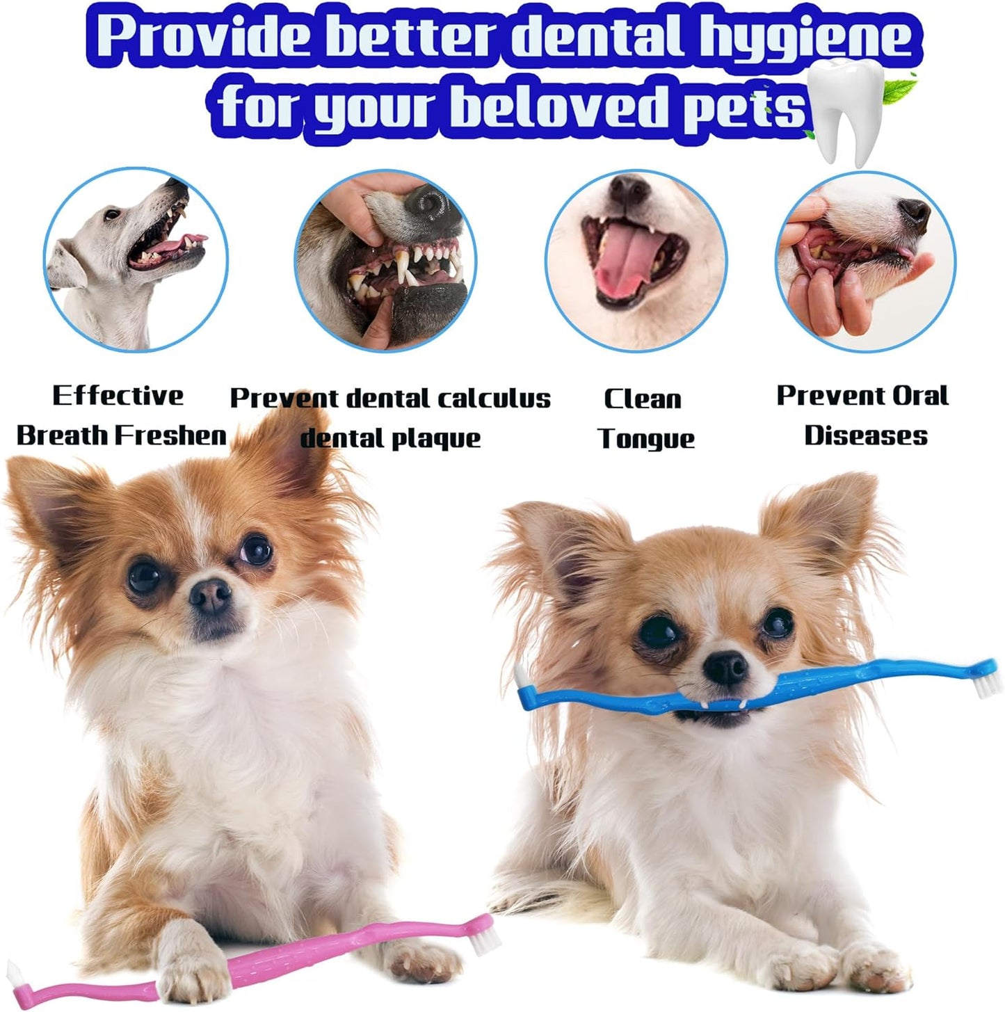 Pet Dental Care Set, Dual-Sided Toothbrush and Finger Brush, for Dogs and Cats (Black, Small Cone)