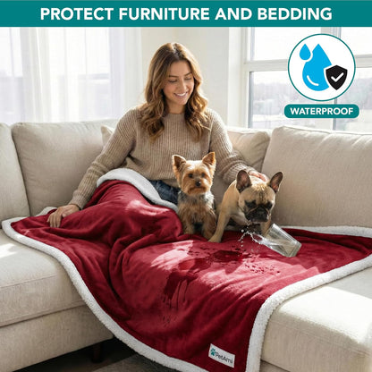 PetAmi Waterproof Dog Blanket for Couch, Large 60x40, Pee Proof Sherpa Fleece Reversible Pet Throw, Furniture Protector for Bed Sofa Kennel, Soft Washable Cover for Medium Dogs Cats, Grey Sherpa