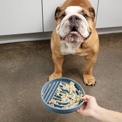 Should We Go? Slow Feeder for Dogs & Puppies, The Slowdown Bowl Silicone Slow Eating, Modern Lick Mat Design, Reduces Gulping, Fits 2 Cups, 7.5” Across x 1.5” Tall, Mealtime Challenge, Medium-Blush
